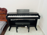 YAMAHA YDP-103 NEW 100% - PIANO HOÀNG PHÚC