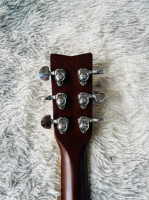 Guitar FG 251