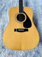 Guitar FG 251