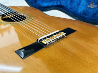 Guitar École Guitara E500 Special Made in Japan