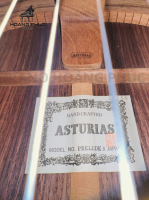 Guitar Asturias Predule S Nhập Khẩu Trực Tiếp Từ Nhật