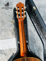 Guitar Asturias Predule S Nhập Khẩu Trực Tiếp Từ Nhật