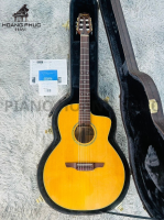 Đàn guitar acoustic Takamine DMP640NC CN nhập khẩu chính hãng từ Nhật| Piano Hoàng Phúc