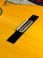 Đàn guitar classic Takamine No-100S   | nhập khẩu chính hãng từ Nhật| Piano Hoàng Phúc