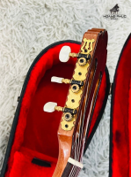 Đàn guitar Antonio Sanchez 3350 nhập khẩu chính hãng từ Nhật| Piano Hoàng Phúc