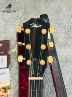 Đàn guitar Taylor 214CE BL-LTD nhập khẩu chính hãng từ Nhật| Piano Hoàng Phúc
