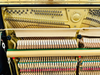 YAMAHA UX50BL
