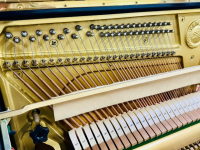 YAMAHA UX50BL