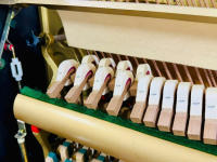 YAMAHA UX50BL