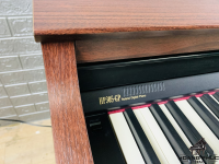 Đàn Piano Điện Roland HP 305GP | Piano Hoàng Phúc 