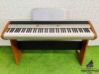 Đàn Piano Điện KORG SP300 | Piano Hoàng Phúc
