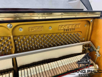 Đàn Piano Cơ Forest FU55 | Piano Hoàng Phúc