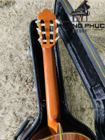 Đàn Guitar Matsuoka MH 100 | Piano Hoàng Phúc
