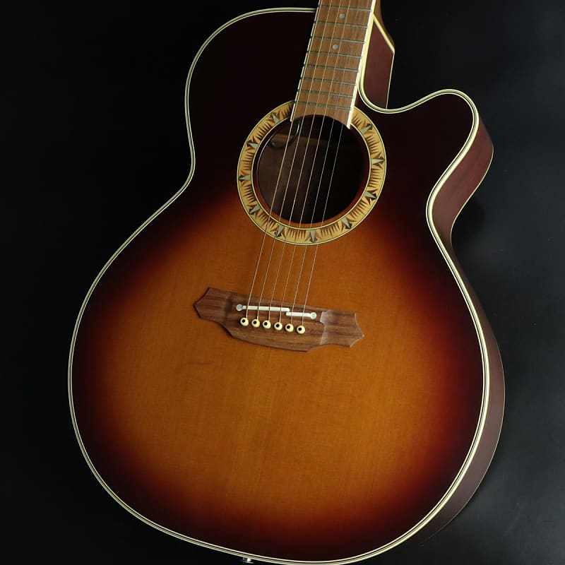 Guitar Takamine NPT - 510