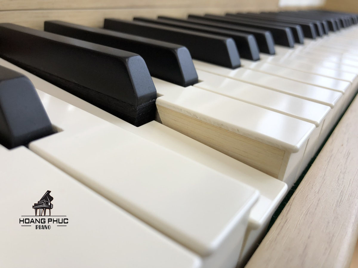 Nên chọn đàn piano cơ hay đàn piano điện cho người mới học piano