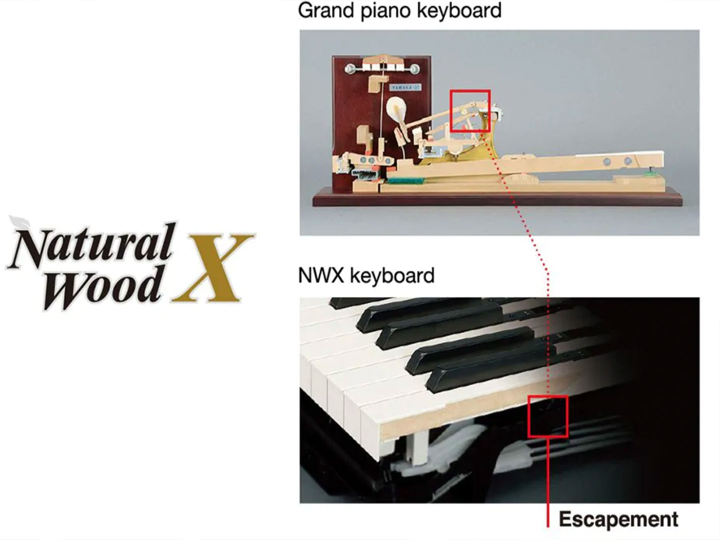 Tìm Hiểu Các Công Nghệ Phím Đàn Piano Điện