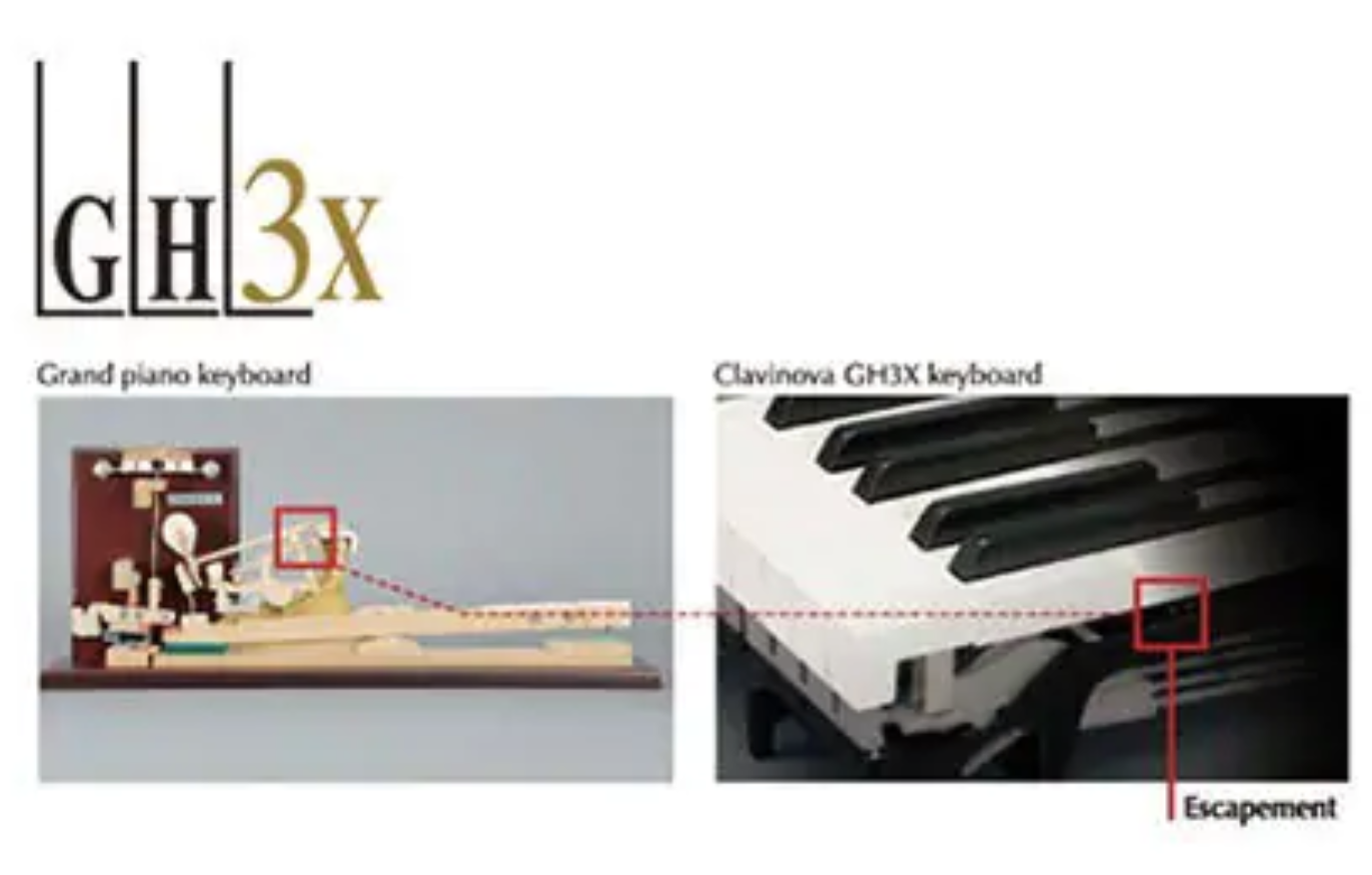 Tìm Hiểu Các Công Nghệ Phím Đàn Piano Điện